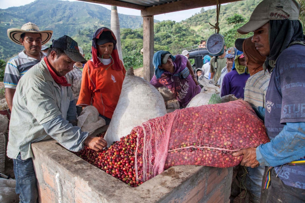 La fascinante historia de la humilde cafetera greca - Morfema Press